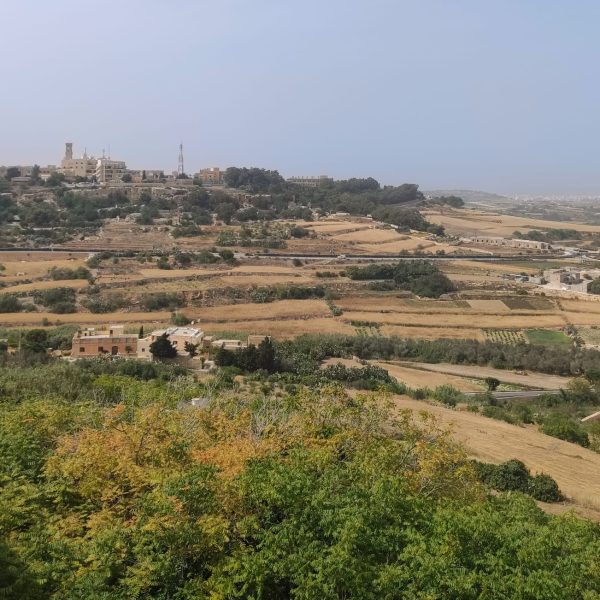 Além das muralhas de Mdina