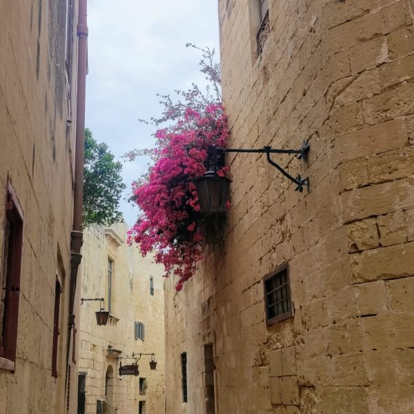 Portal de entrada de Mdina